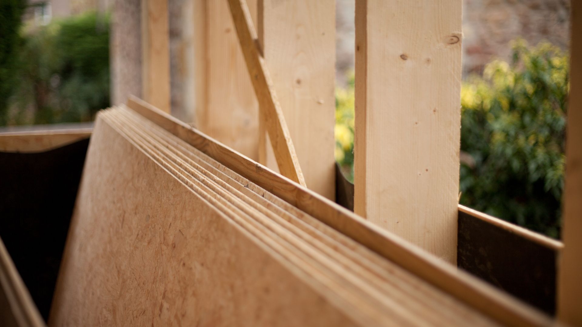 Termite Proof Plywood vs Borer Proof Plywood Key Differences Explained